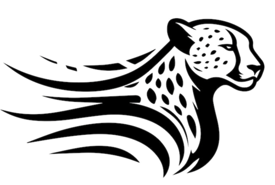cheetahConnect